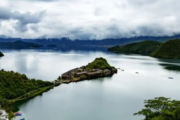 言之有据指什么生肖