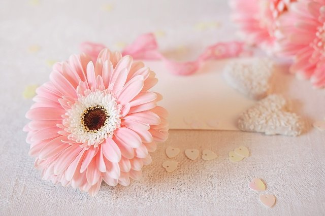 生活中有哪些不经意之间冒出的小美好？