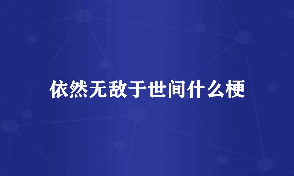 依然无敌于世间什么梗