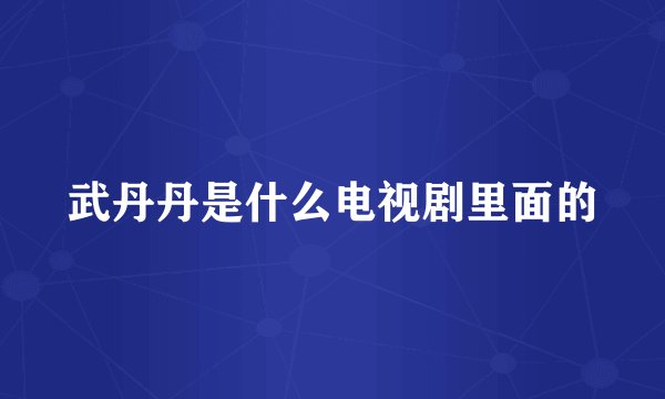 武丹丹是什么电视剧里面的