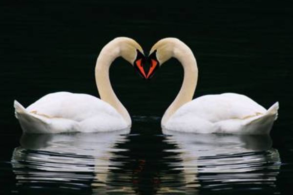 缱绻缠绵的意思