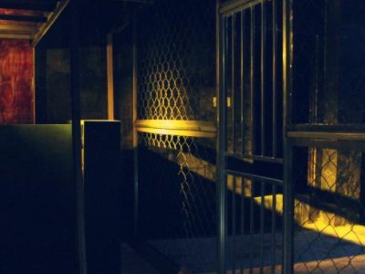 广西南宁玩密室逃脱被NPC咬了两口，事情究竟是怎样发生的？