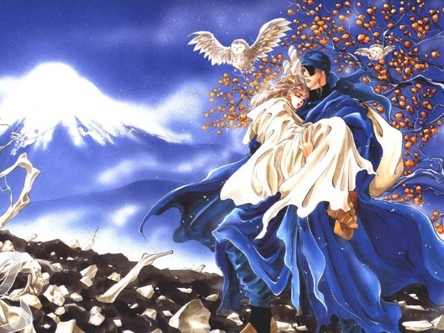 田村由美的个人履历