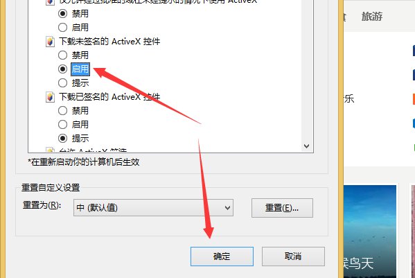 怎么才能让ie下载activex控件呢？