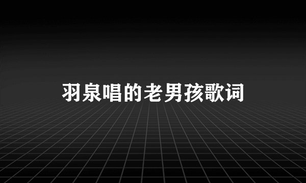 羽泉唱的老男孩歌词