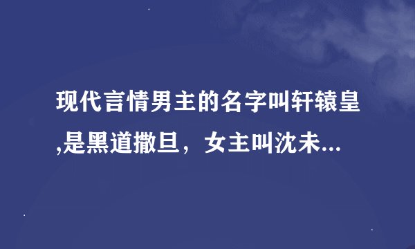 现代言情男主的名字叫轩辕皇,是黑道撒旦，女主叫沈未烟，他俩的儿子叫沈无夜