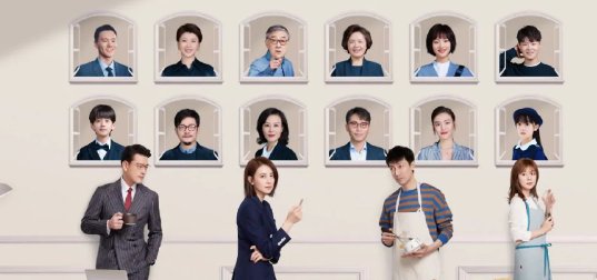 《完美伴侣》共多少集?