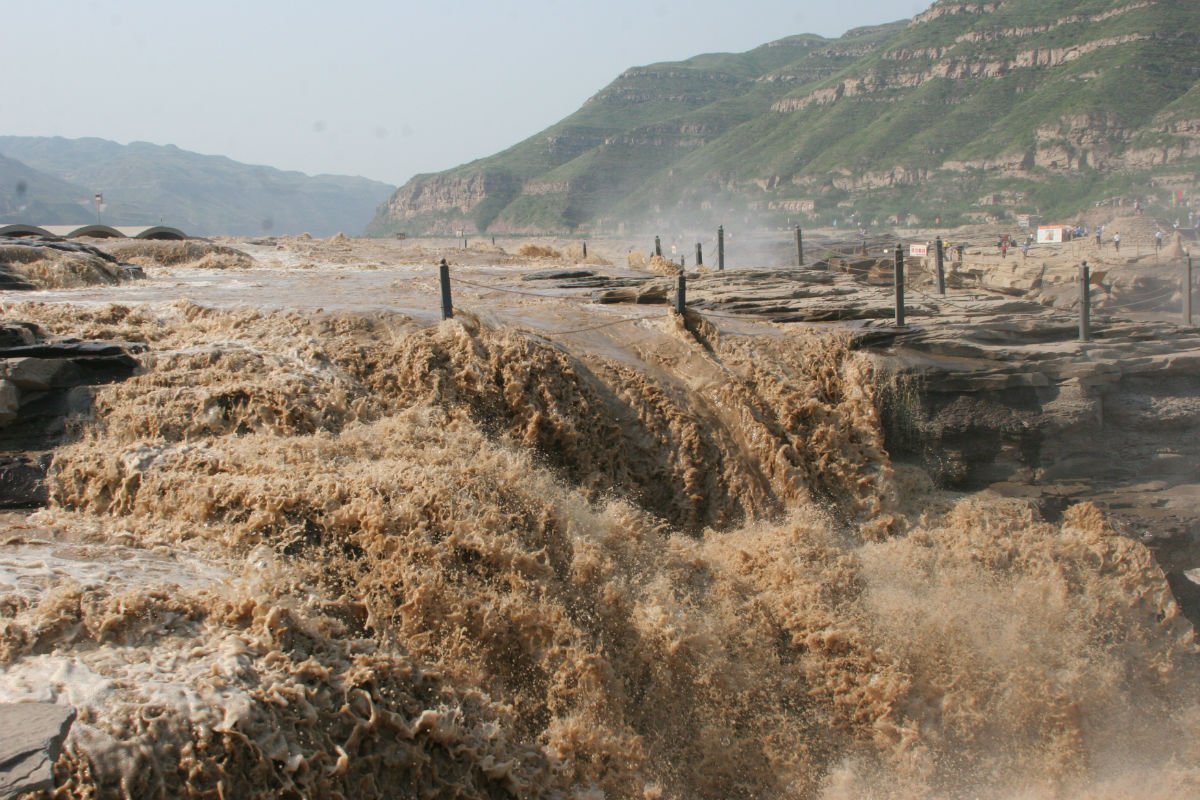 家禽被困洪水中，鸡是如何在洪水中存活七天的？