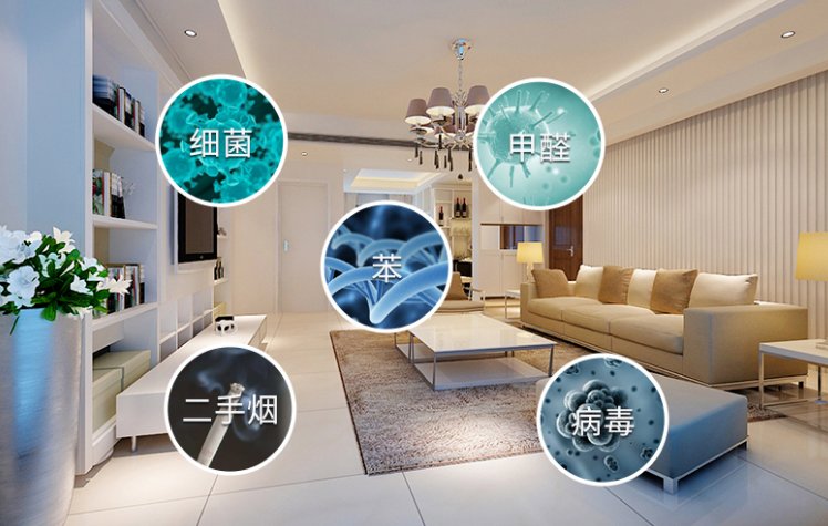 室内空气与健康的作文怎么写