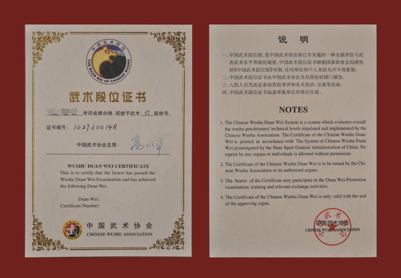 武术拳师最高级是几级