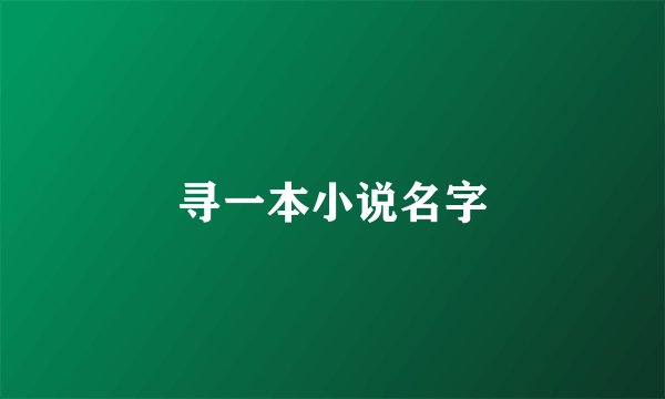 寻一本小说名字