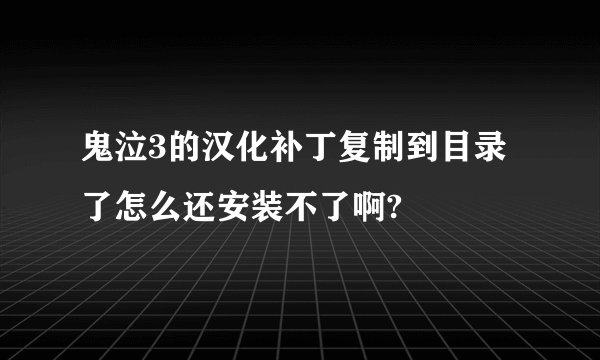 鬼泣3的汉化补丁复制到目录了怎么还安装不了啊?