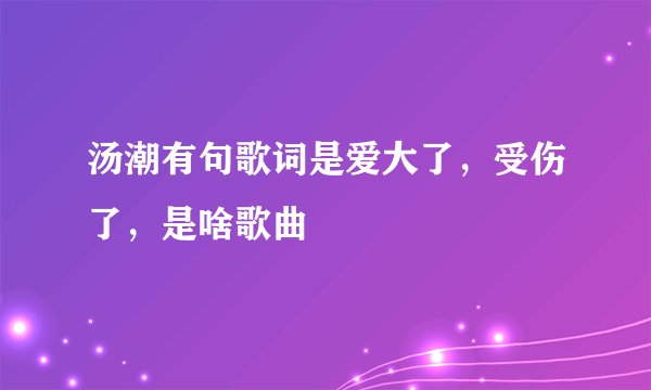 汤潮有句歌词是爱大了，受伤了，是啥歌曲