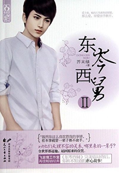 东岑西舅2的介绍