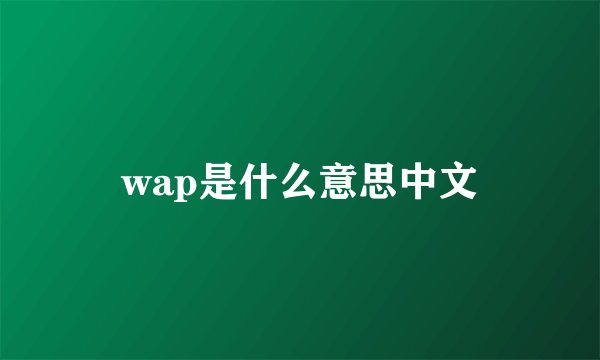 wap是什么意思中文