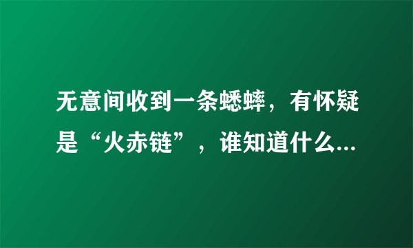 无意间收到一条蟋蟀，有怀疑是“火赤链”，谁知道什么是“火赤链”，鉴定“火赤链”的标准是什么？？？