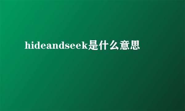 hideandseek是什么意思