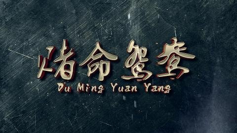 赌命鸳鸯的介绍