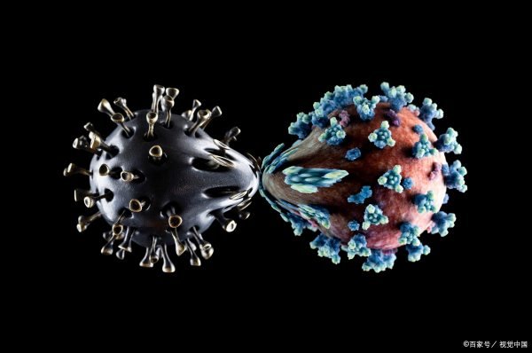 禁毒法规定娱乐场所应当建立什么制度发现娱乐场所内有毒品违法犯罪活动的应当