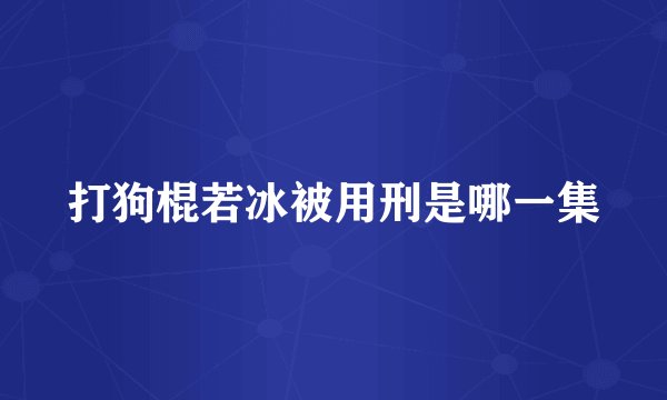 打狗棍若冰被用刑是哪一集