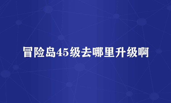 冒险岛45级去哪里升级啊