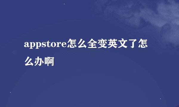 appstore怎么全变英文了怎么办啊