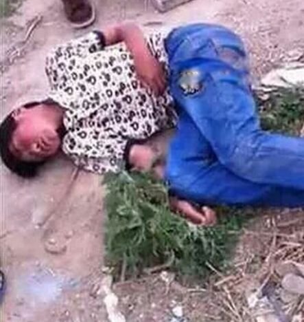 奶西村少年暴力事件始末经过 围殴少年的处理结果如何