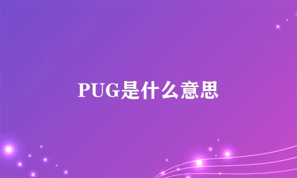 PUG是什么意思