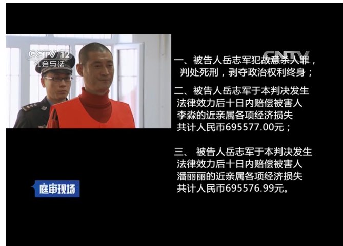 岳志军一审判决书结果