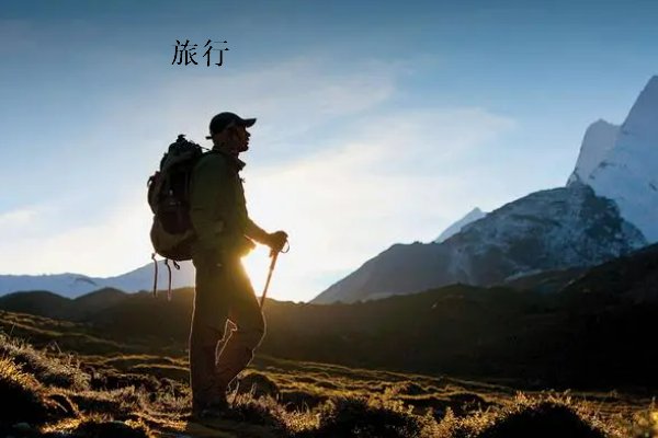 大莲萌爱旅行收入来源