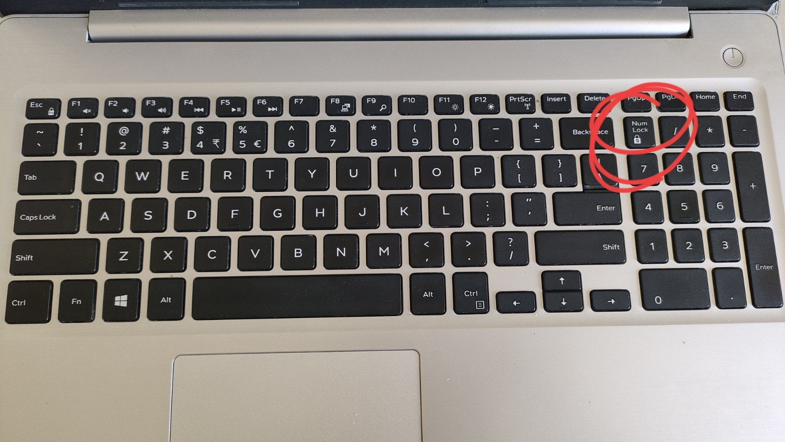 为什么电脑数字键盘打不出数字了？