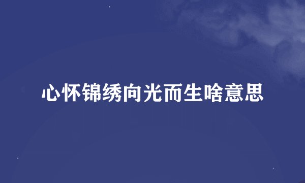 心怀锦绣向光而生啥意思