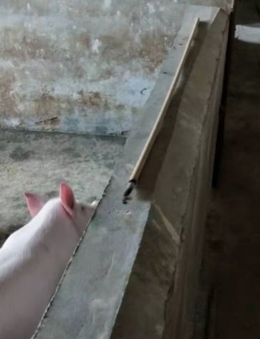 广东女子误买40根1米2超大蚊香，用这种蚊香是种什么样的体验？