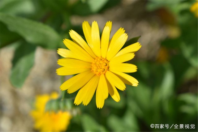 人以群分,物以类聚,什么意思?