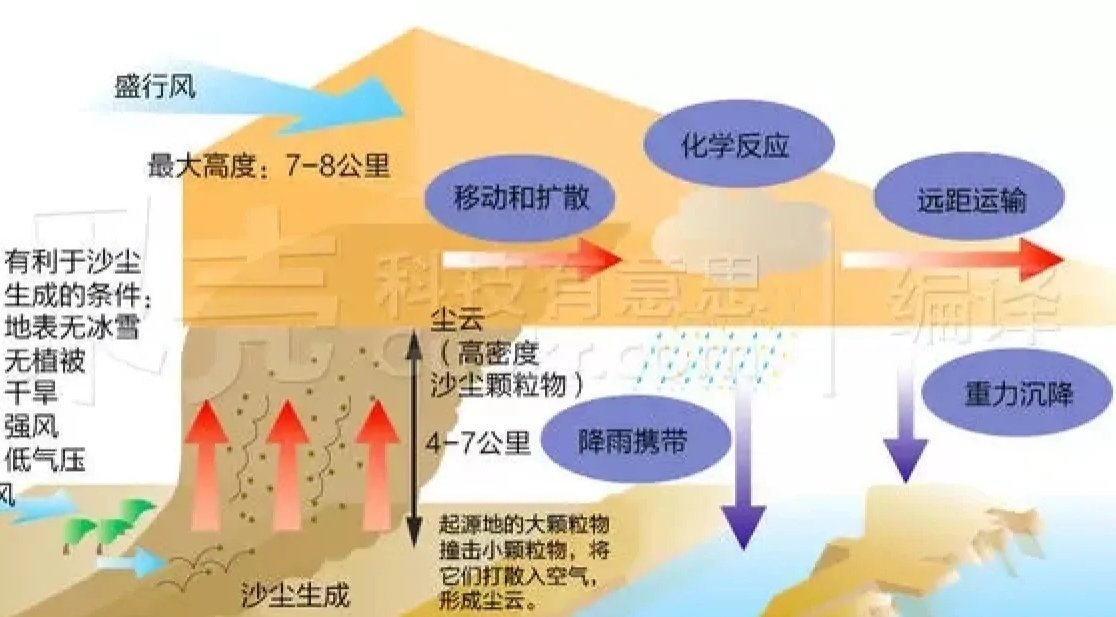 植被好转为何挡不住漫天黄沙