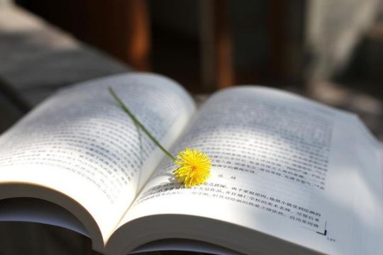 子义的拼音怎么写的