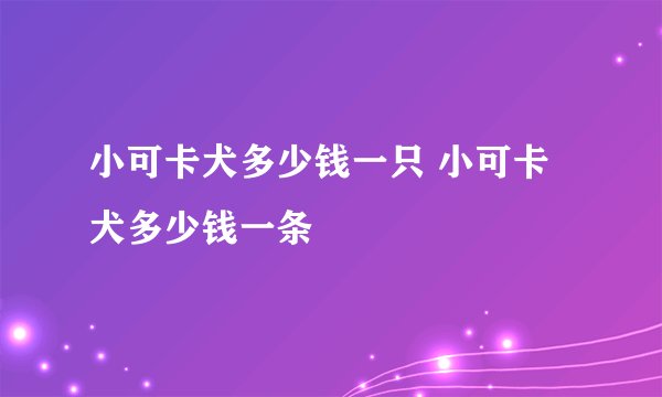 小可卡犬多少钱一只 小可卡犬多少钱一条