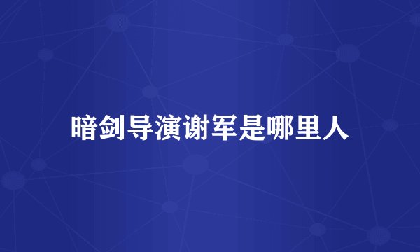 暗剑导演谢军是哪里人