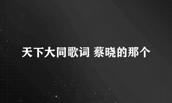 天下大同歌词 蔡晓的那个