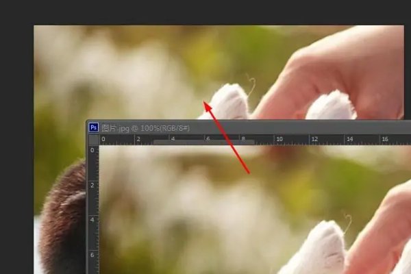ps怎样插入图片