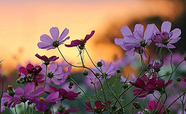 qq炫舞有哪些名字好听