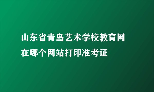 山东省青岛艺术学校教育网 在哪个网站打印准考证