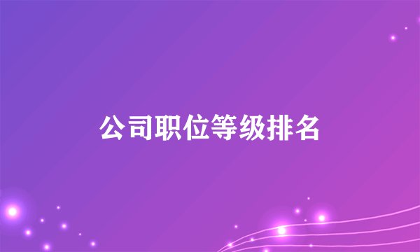 公司职位等级排名