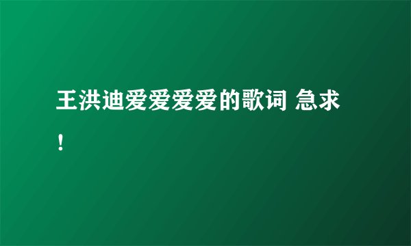 王洪迪爱爱爱爱的歌词 急求！