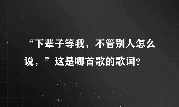 “下辈子等我，不管别人怎么说，”这是哪首歌的歌词？