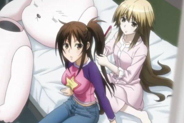 鹡鸰女神谁的鹡最多