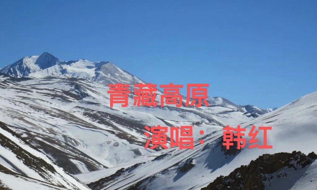 青藏高原歌词