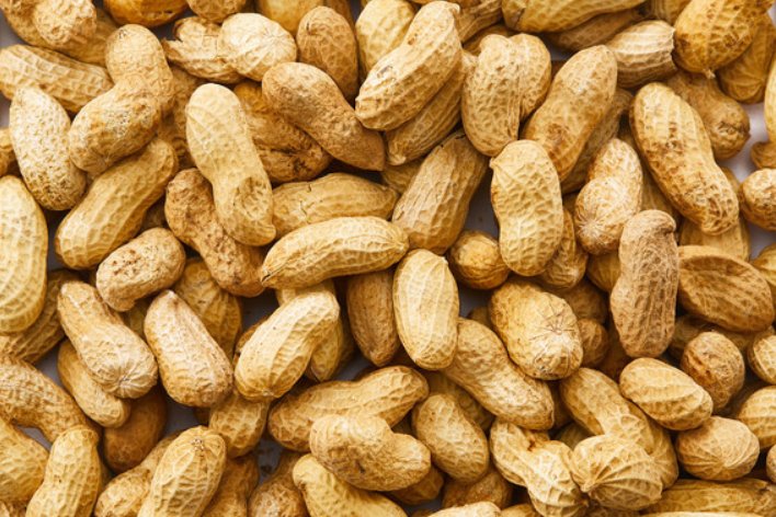 落花生的作者是什么