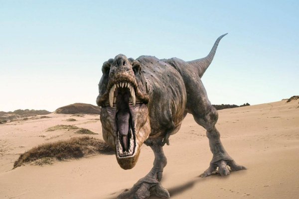 最可怕的恐龙第一名