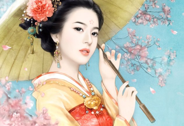 女主叫白芷宁的小说妾难为